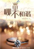 不和谐的东西