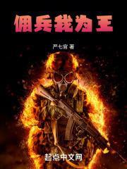 佣兵我为王八零TXT免费