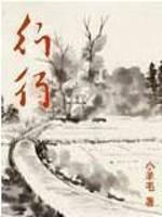 行行出状元打三个数字