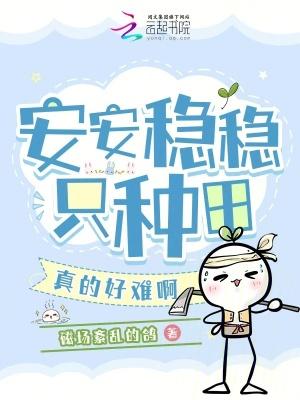安安稳稳的稳什么意思
