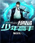 绝品少年高手txt