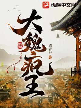 大魏疯王免费完整版