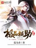 极品辅助系统txt