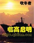 临高启明完结了吗