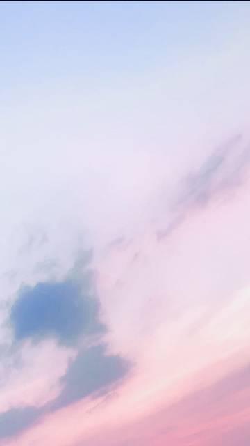 玫瑰雾里免费阅读