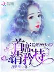 隐婚99天总裁请矜持