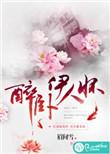 醉卧人生作品集