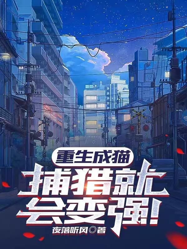 流浪猫被抓住饿死