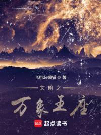 文明之万界文明