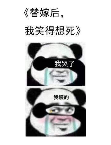 替嫁以后全文无防盗