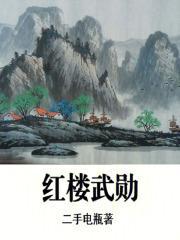 红楼武勋废文全文免费阅读