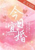 今日宜婚关山鹤TXT