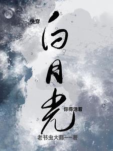 我叫炮灰