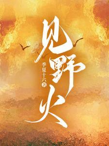 向野火by季夏十六