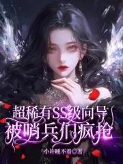 向导和哨兵怎么结合
