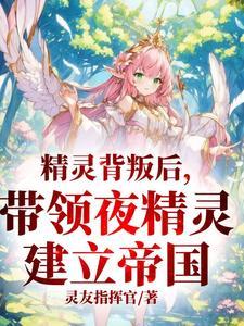 夜的精灵