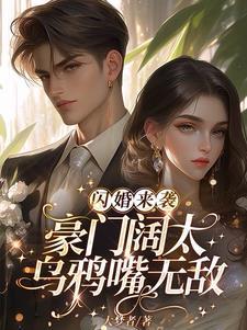 闪婚豪门engelchen番外