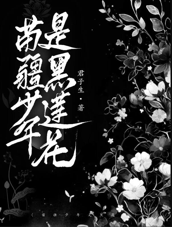 苗疆少年是黑莲花提取码