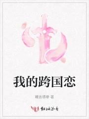 跨国恋知乎
