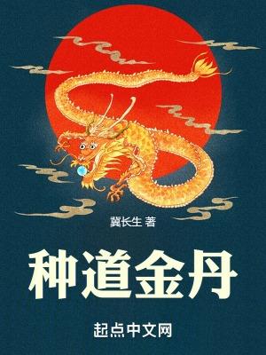 种丹道金丹下架原因及影响详解