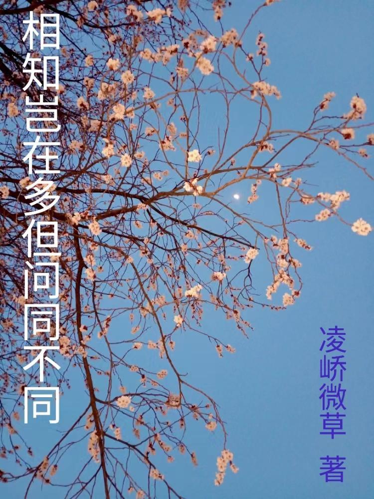 相知岂在多但问同不同作为座右铭的