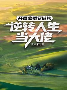 开局离婚类