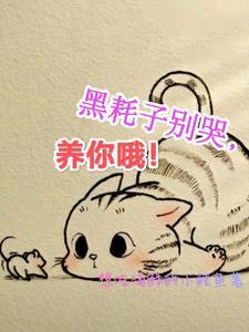 黑耗子是什么意思