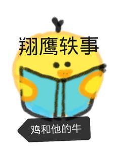 翔鹰有限公司