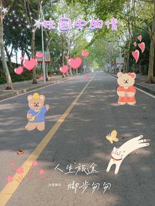 校园情作文800字
