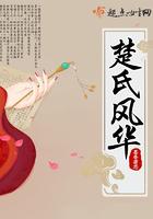 岳氏风华包装