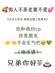 茶!追老婆就要茶!无弹窗