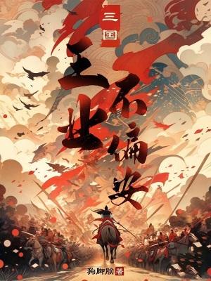 三国王业不偏安无防盗