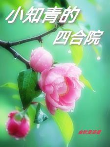 小知青的四合院男主是谁