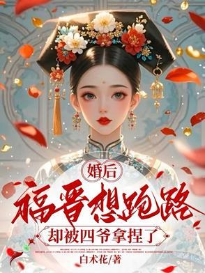 福晋嫁到四爷娇宠作者云袖子
