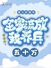 重生新婚夜全家被流放我养兵五十万