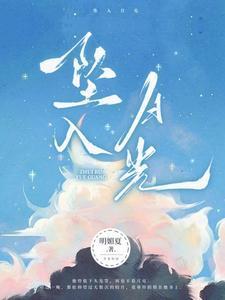 坠入阳光by