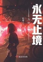 为什么它永无止境实体书几本