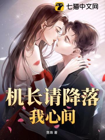 同人文机长请降落