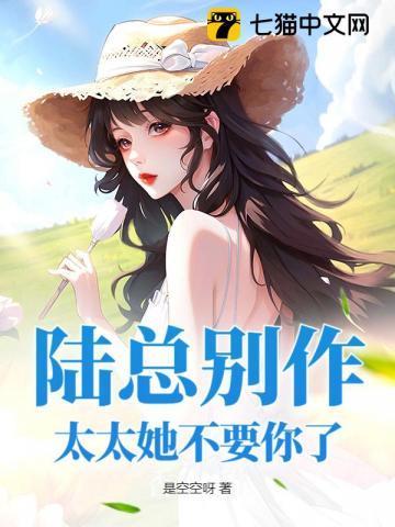 陆太太我们离婚吧