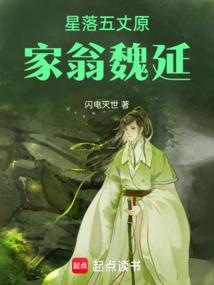 星落五丈原的故事