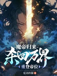 魔帝回归叶风