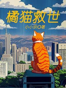 橘猫 治愈