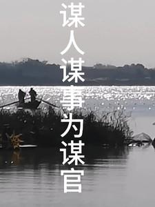 谋事谋局谋人