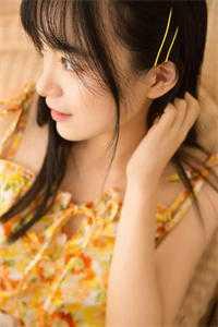 女主叫许见微的