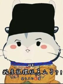 明末我崇祯摆烂怎么了?!无弹窗阅读
