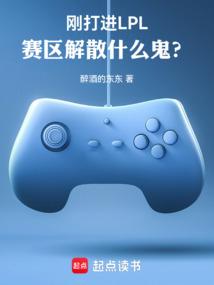 lpl赛区啥意思