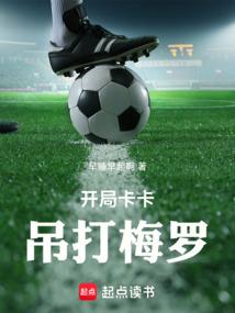 开局卡卡吊打梅罗免费观看