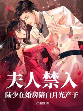 陆少夫人酷又
