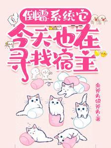 系统15
