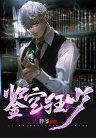 鉴宝狂少TXT电子书